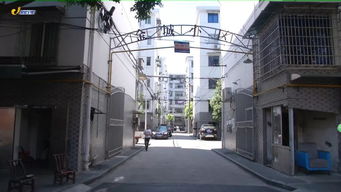 驻马店正大饲料地址查询，请问具体在哪个街道和小区？
