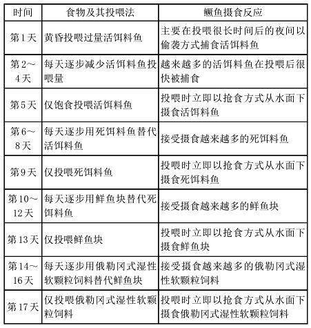 针对不同动物的营养需求，饲料产品研发应如何优化配方以满足市场细分需求？