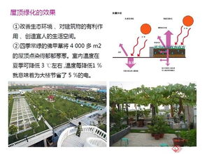 二、仿真垂直绿化需要哪些材料？