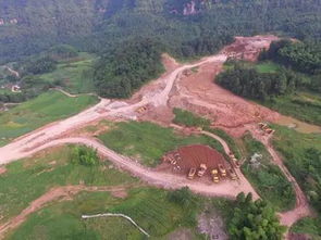 树木种类：环湖丘陵与平原的多样性