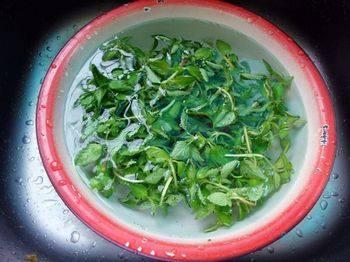 香菜煮水怎么做？简单几步教你煮出好味道