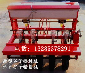 中科院植物所的数据：种子的时空差异规律