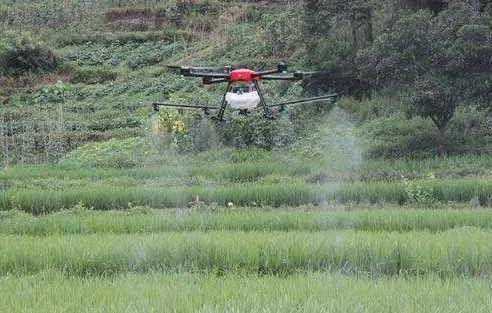 高温下的农药喷洒：34度天气的挑战
