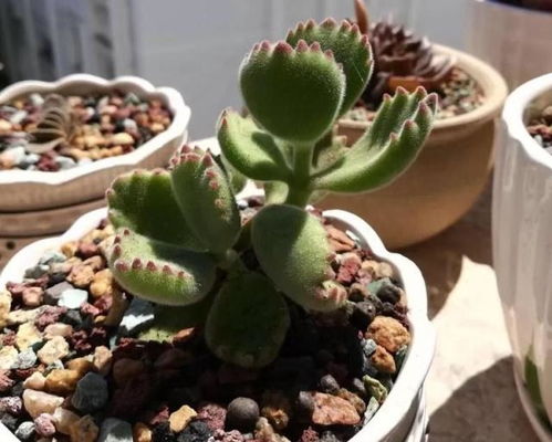 省钱秘籍大公开！