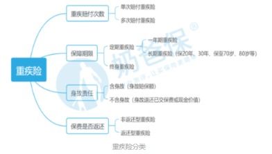华农药健康保险：了解常见疾病保障