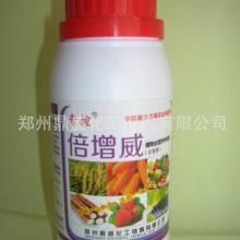 大葱灰霉病：农民朋友们的烦恼