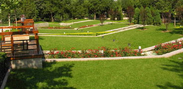 园林绿化养护项目：前景究竟如何？