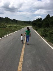 沙打旺+紫花苜蓿， 双重保障