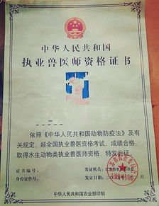 畜牧兽医执业资格证考试官网畜牧兽医师证书图片上的编号和有效期怎么查询？