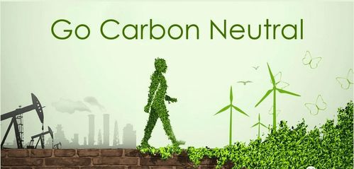 根与钢，坚韧之道