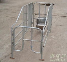母猪限位栏易致其生理和心理伤害