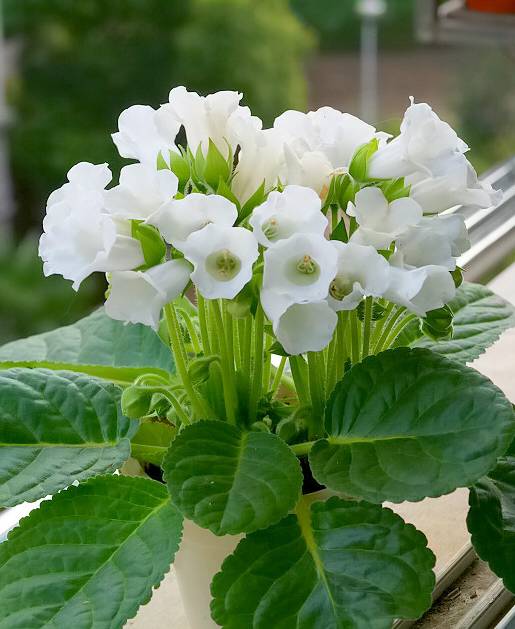 选对容器彳艮重要