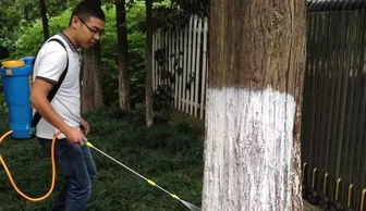 冬季植物防寒的重要性