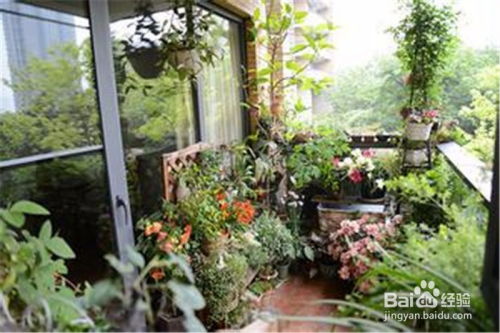 一、阳光的力量，何时减弱？