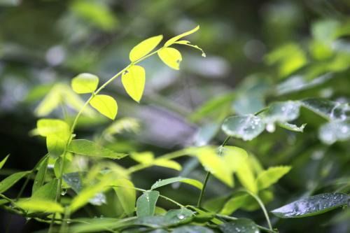 温度掌控的黄金窗口