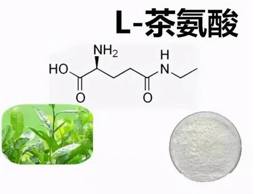 硼肥如何帮助作物最大化吸收养分？