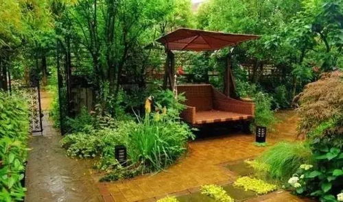 庭院种植之选：美丽与寓意并存