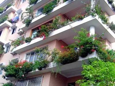 昆山仿真立体阳台绿化设计实景图， 打造美观实用的阳台花园全攻略