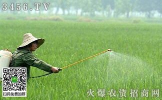 选农药，还得kan草的种类