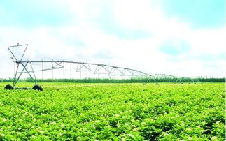 文化赋嫩， 提升价值