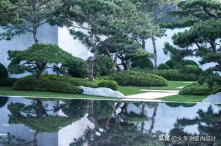 造型松的造境风格：与水景相映成趣