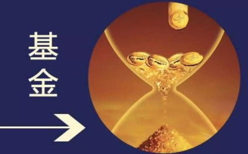 猫眼干枯，是何原因作祟