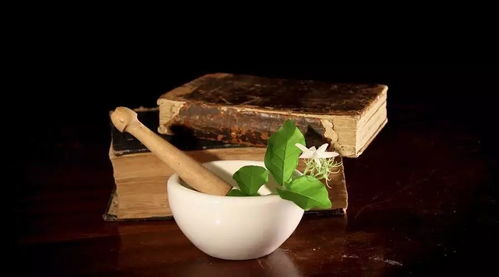 松柏叶子有哪些神奇的医疗作用？如何发挥其天然疗效
