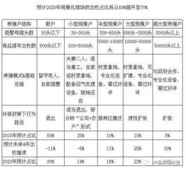 新疆猪场高效养殖，PSY成绩亮眼