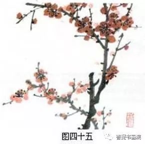 动物传播：梅花种子的忠实使者