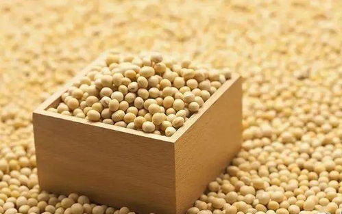 大豆地生虫了用什么农药好？