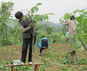 跨界联名， 拓展市场