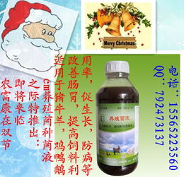 夏季发酵床养鸡，肠道疾病防控新策略