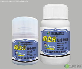 它们怎么一起工作呢？