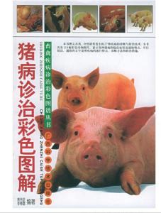 “猪病色彩预警系统”