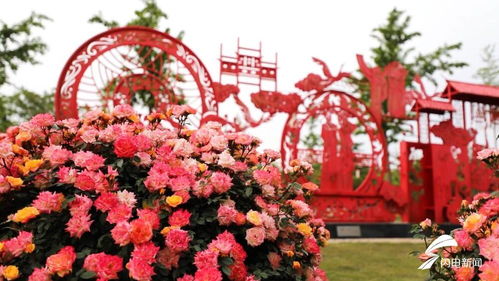 月季仙子雕像与环路