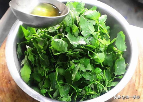 种芽菜怎么吃呢？