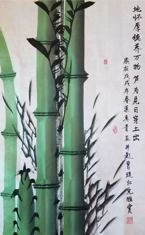 翠竹象征坚韧不拔，种植时需要注意哪些事项才能体现其精神