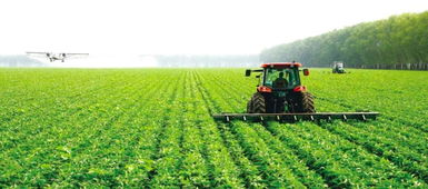 打造高效农业养殖团队核心领袖