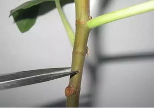 工具和材料，准备好了没？