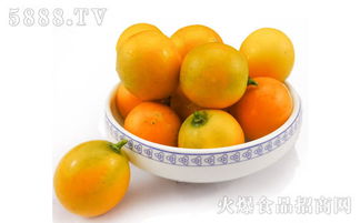 金桔一般在什么时间成熟上市，最佳食用季节是哪几个月呢