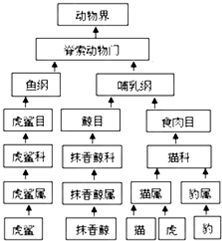 烂根植物如何救活？根系复活全流程详解步骤有哪些