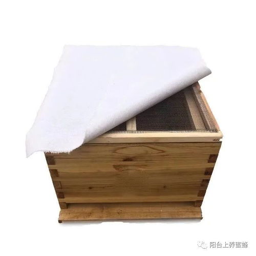 中蜂如何自然造王台？
