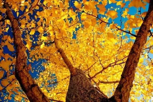 特殊发现，你知道吗？