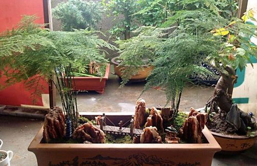 土壤的类型与选择