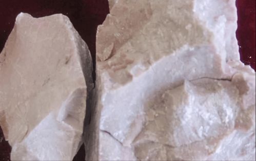 猪饲料中常见的添加剂种类有哪些？