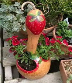 葫芦兰：圆滚滚的“洋葱”