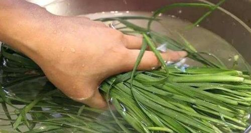 韭菜长黑虫， 试试这些农药