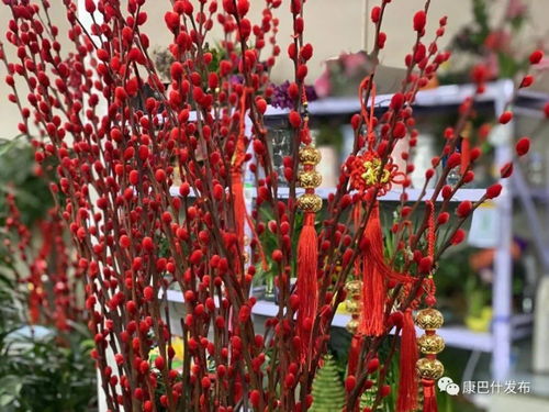 造型独特的创意