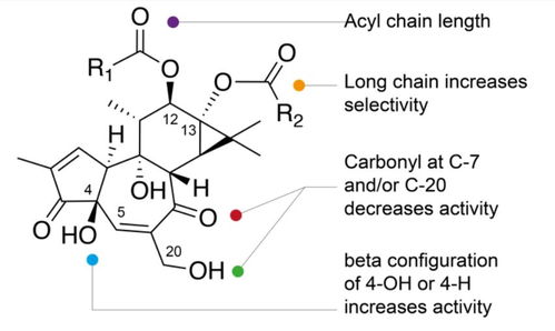 四氢噁唑环合成，难不难？