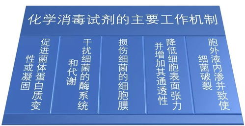 采用生物消毒与化学消毒相结合，确保养殖环境安全